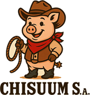 CHISSUM S.A Logo